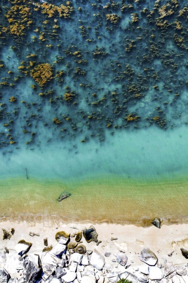SeaGrass Waters