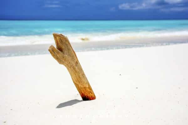 Chill Beach