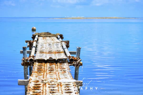 Pontoon