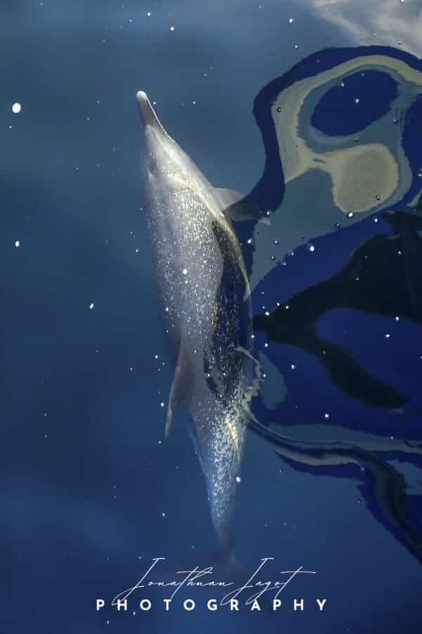 Lost in Blue