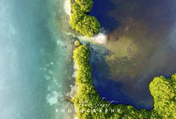 Ocean & River