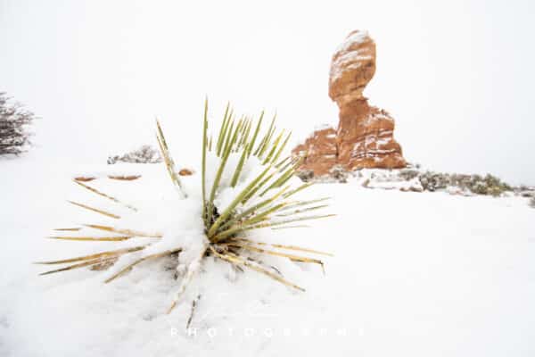 Snow Art