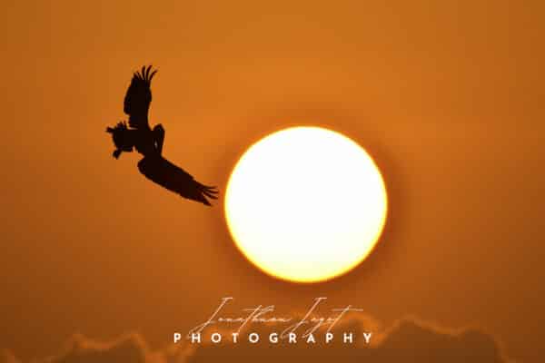 Embracing the Sun