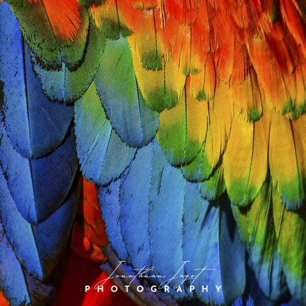 Thousand Colours
