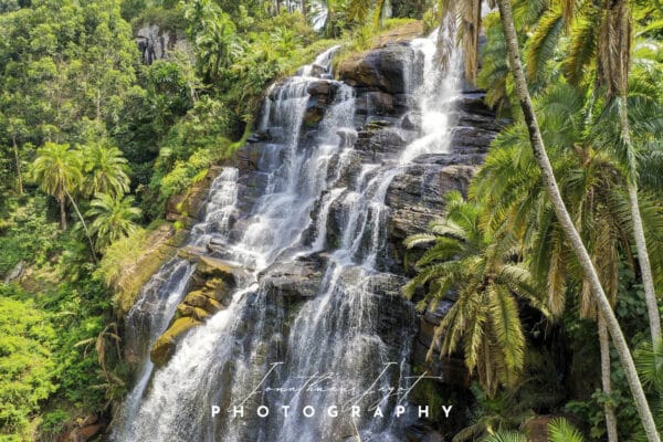 Rainforest Waterfall